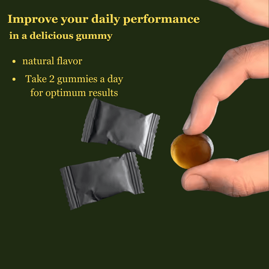 BIHISHILAJIT Himalayan Shilajit gummies