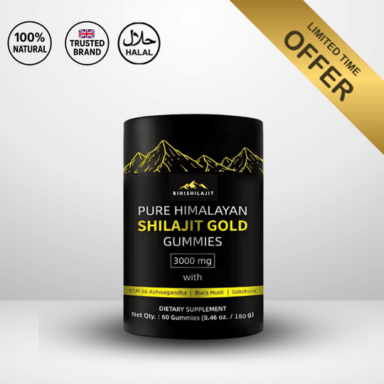 BIHISHILAJIT Himalayan Shilajit gummies