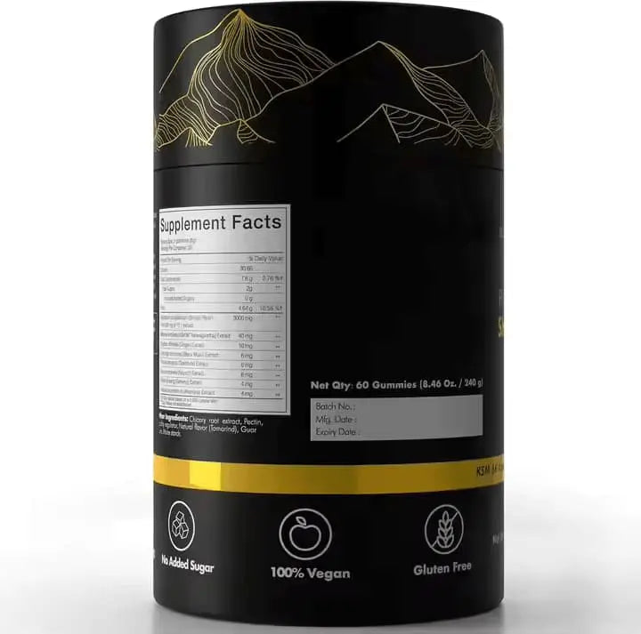 BIHISHILAJIT Himalayan Shilajit gummies
